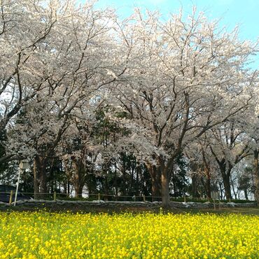 P_20180328_160145_vHDR_Auto