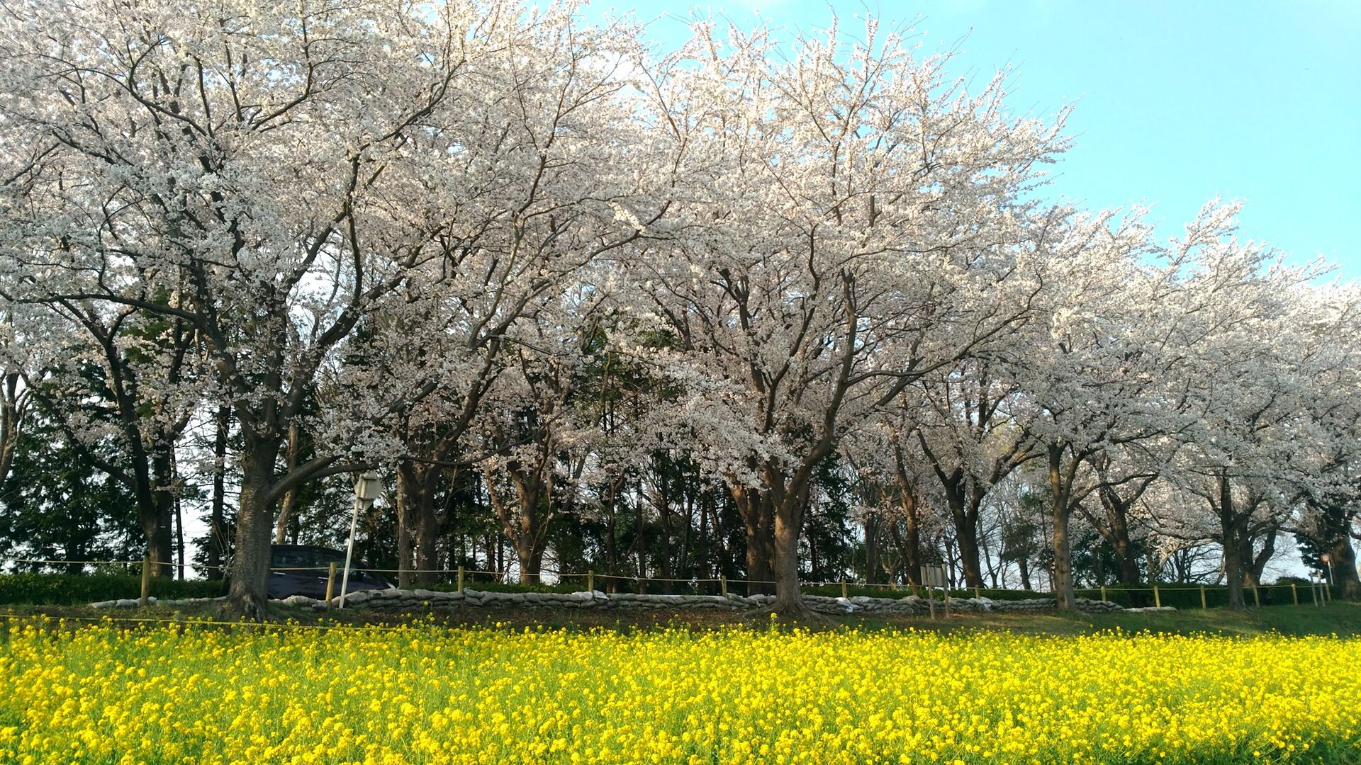 P_20180328_160145_vHDR_Auto